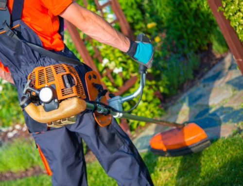 Benefits Of Hiring Professional Landscapers