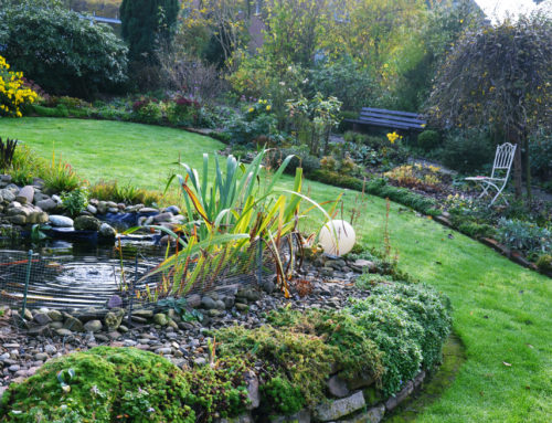 Four Ways to Refresh Your Landscape This Summer