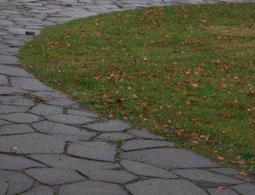 Maintain Your Lawn During Winter