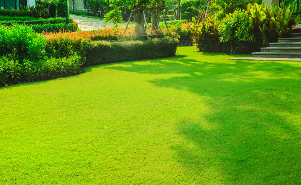 Beautiful green lawn with professionally trimmed hedges and flower beds.