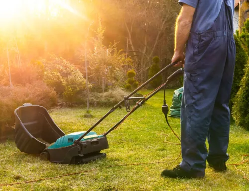 5 Benefits Of Lawn Aeration In North Texas