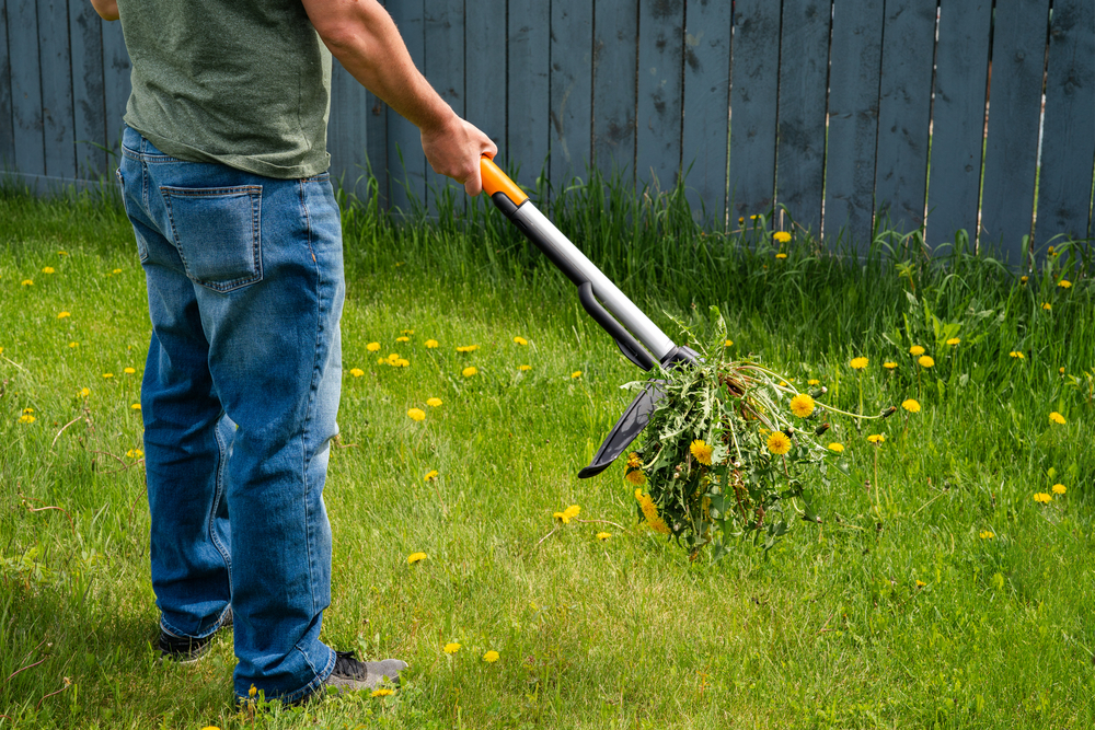 Weed and Debris Removal in Fort Worth / Keller