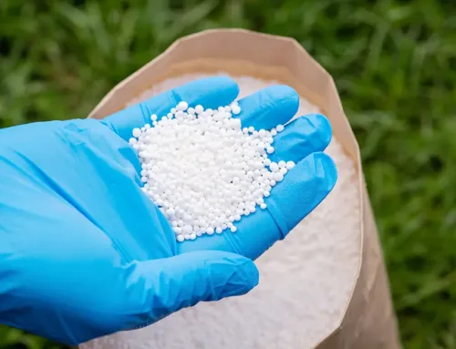 Why Summer Fertilization is Crucial for Your Lawn’s Health