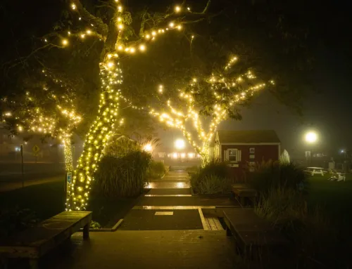 The Ultimate Guide to Commercial Christmas Lights Installations for Businesses
