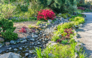 Dry Creek Bed Installation