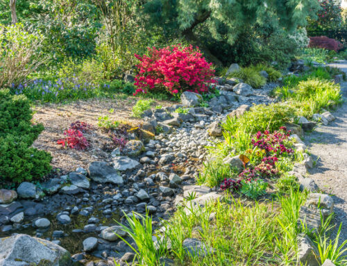 Dry Creek Bed Installation