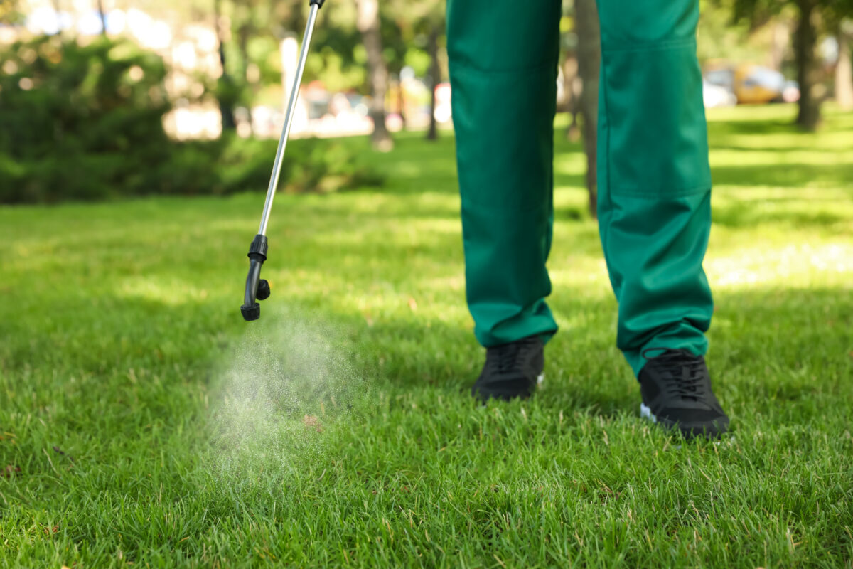 Pre Post-Emergent Lawn Care Treatment