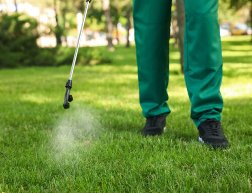 Back-to-School Special: Pre/Post-Emergent Lawn Care Treatment