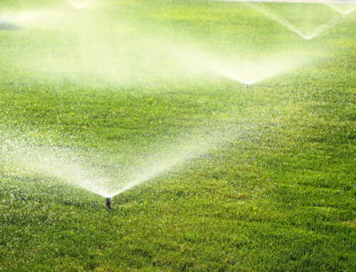 Irrigation Repair Service in Keller TX