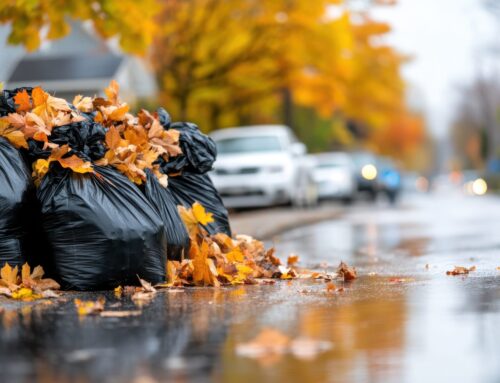 Keller Fall and Winter Leaf Bagging & Haul Away Service