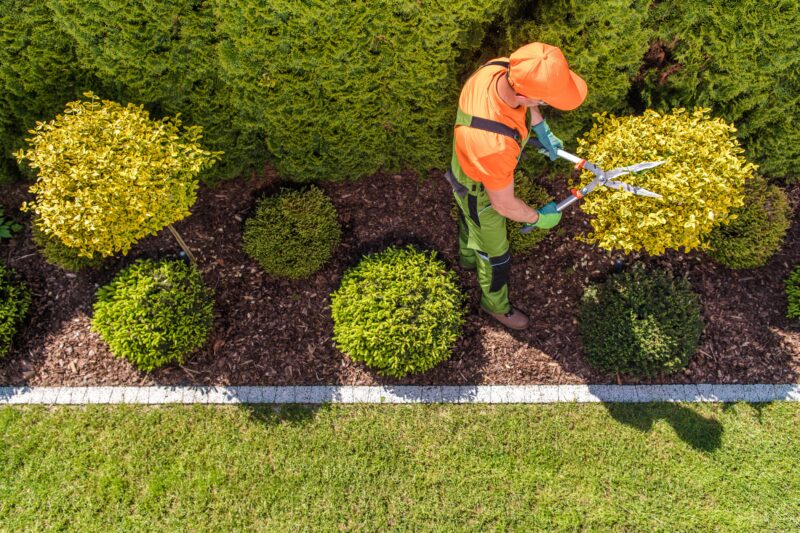 Tree & Bush Reshaping in Keller, TX