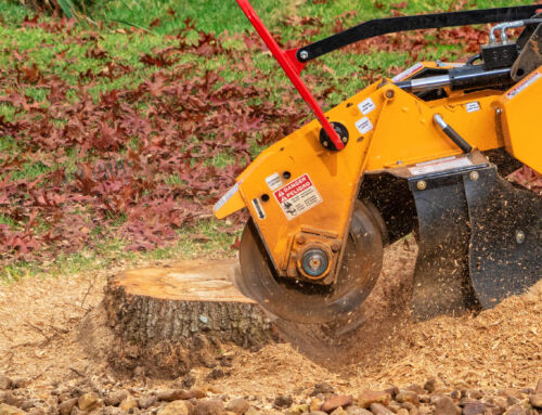 Tree Stump Grinding Service