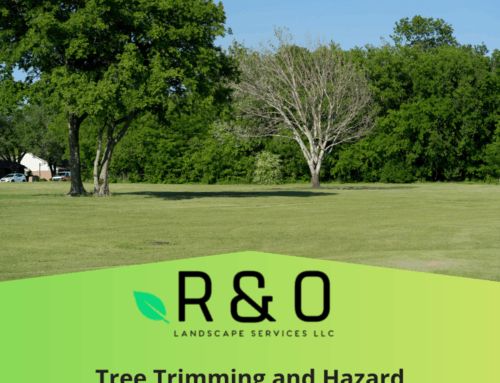 Tree Trimming & Hazard Removal in Keller: Safe, Clean, On-Schedule