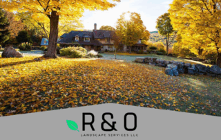 Fall Landscaping Tips for Keller Homeowners