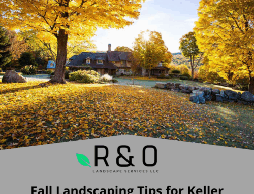 Fall Landscaping Tips in Keller: Preparing Your Yard for Winter