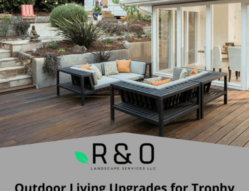 Outdoor Living Upgrades in Trophy Club: Fire Pits, Patios, and Fall Gatherings