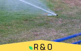 Signs Your Irrigation System Needs a Checkup