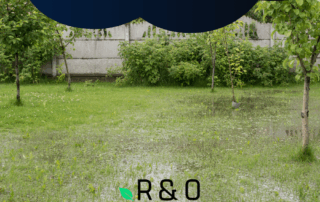 How to Know If Your Yard Needs a Drainage System Before Winter