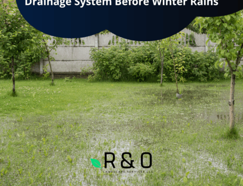 How to Know If Your Yard Needs a Drainage System Before Winter