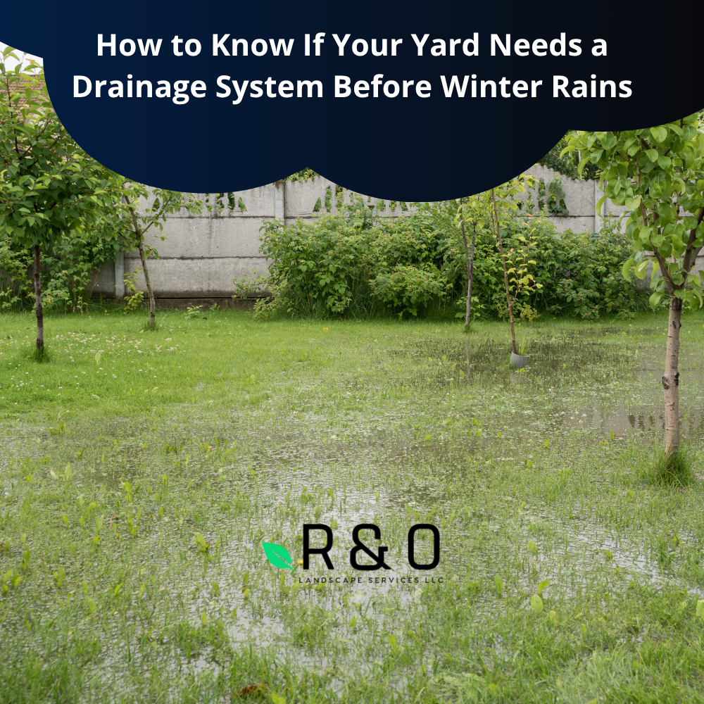 How to Know If Your Yard Needs a Drainage System Before Winter