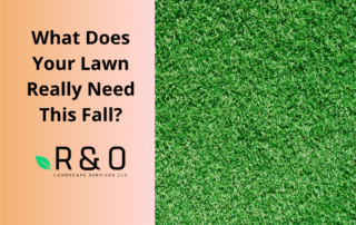 What Does Your Lawn Really Need This Fall