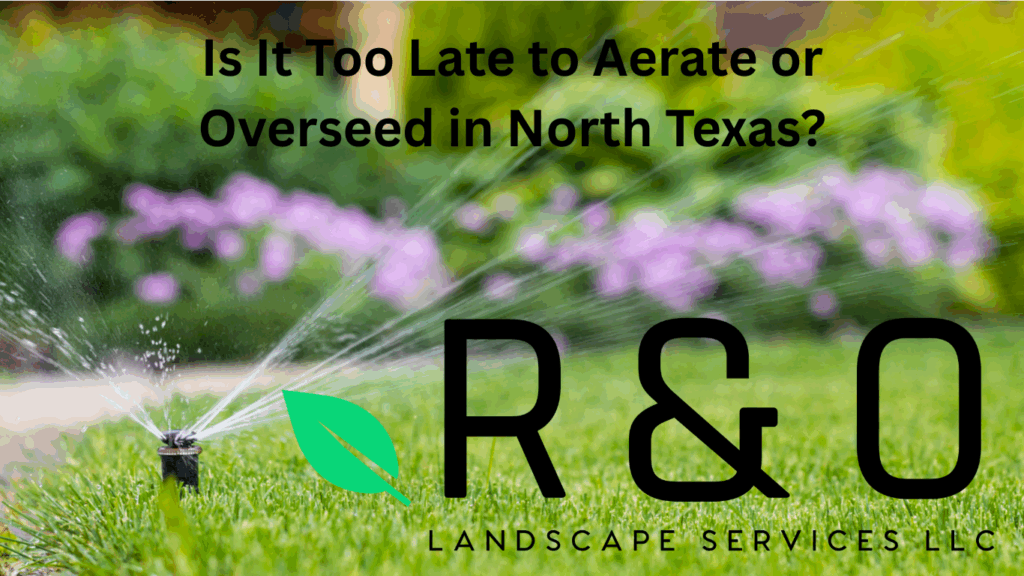 When Is It Too Late to Aerate and Overseed?