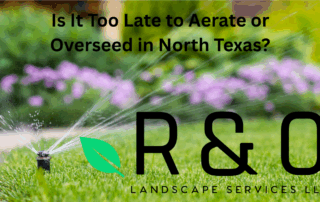 Is It Too Late to Aerate or Overseed in North Texas?