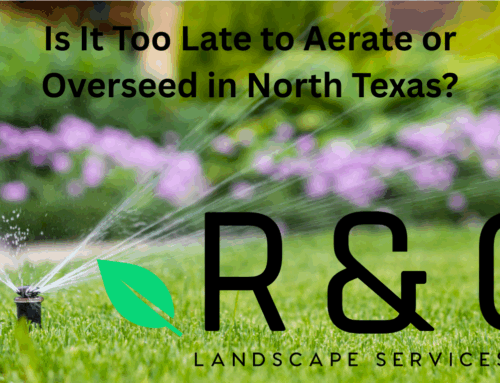 Is It Too Late to Aerate or Overseed in North Texas?