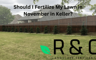should i fertilize my lawn in november in keller