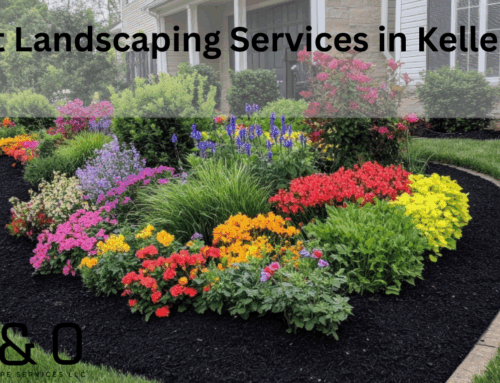 Best Landscaping Services in Keller, TX