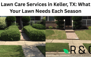 Lawn Care Services in Keller, TX What Your Lawn Needs Each Season