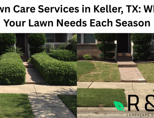 Lawn Care Services in Keller, TX: What Your Lawn Needs Each Season