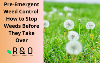 Pre-Emergent Weed Control