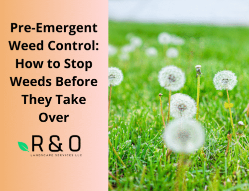 Pre-Emergent Weed Control: How to Stop Weeds Before They Take Over