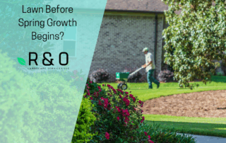 Should You Fertilize Your Lawn Before Spring Growth Begins