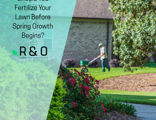 Should You Fertilize Your Lawn Before Spring Growth Begins?