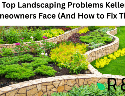 Top Landscaping Problems Keller Homeowners Face (And How to Fix Them)