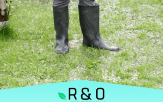 Why Standing Water Can Ruin Your Lawn and Foundation