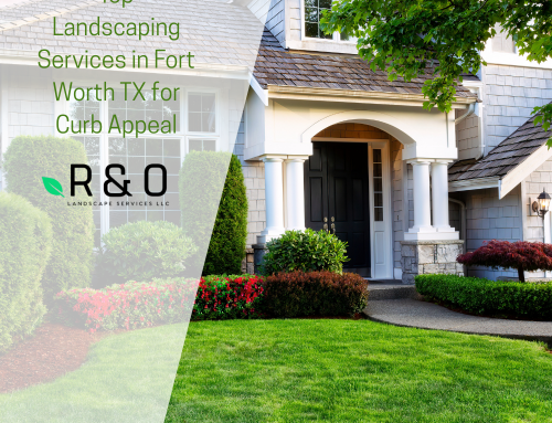 Top Landscaping Services in Fort Worth TX for Curb Appeal