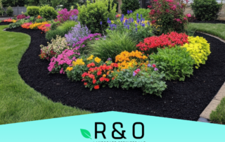 Top Rated Landscaper in Keller TX What to Look For