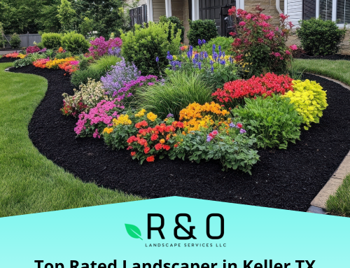 Top Rated Landscaper in Keller TX What to Look For