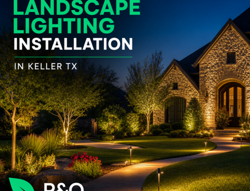 Professional Landscape Lighting Installation in Keller TX