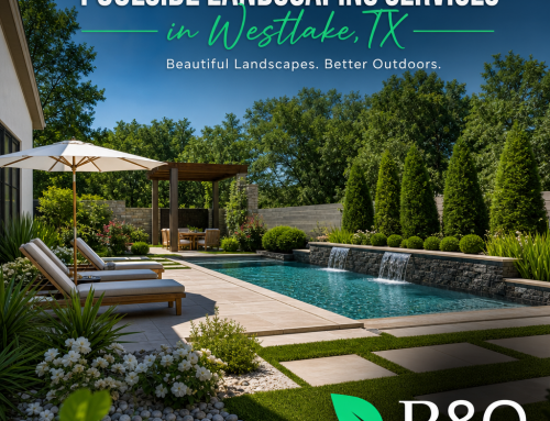 Poolside Landscaping Services in Westlake TX
