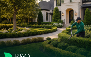 Landscape Maintenance Services for Luxury Homes in Westlake TX