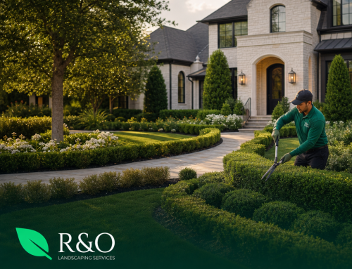 Landscape Maintenance Services for Luxury Homes in Westlake TX