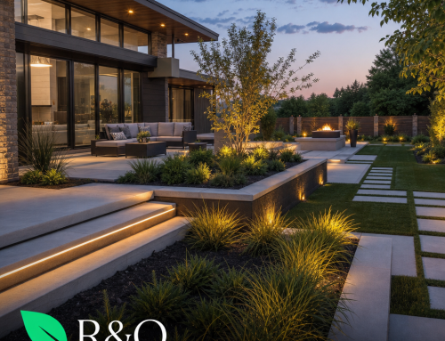 Modern Landscape Design Services in Fort Worth TX